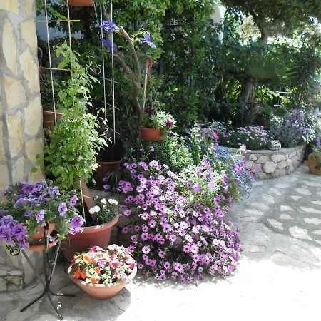 Mirta Stara Baška