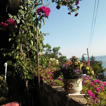 Mirta Apartment
